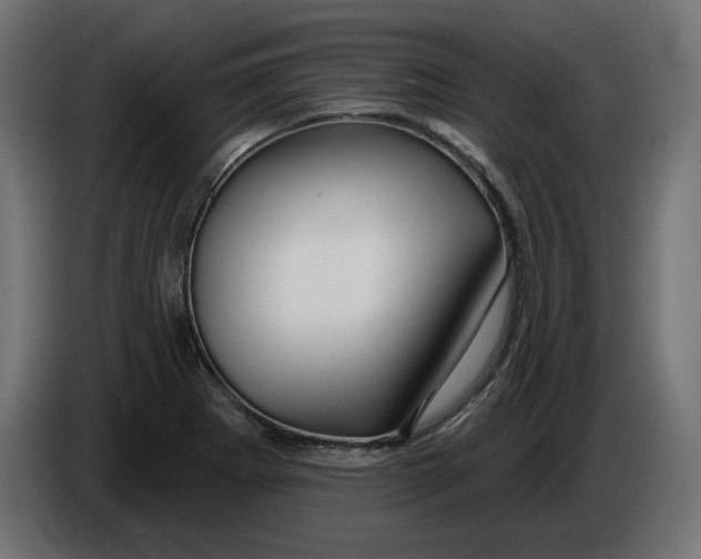 X0000086101273200704132139