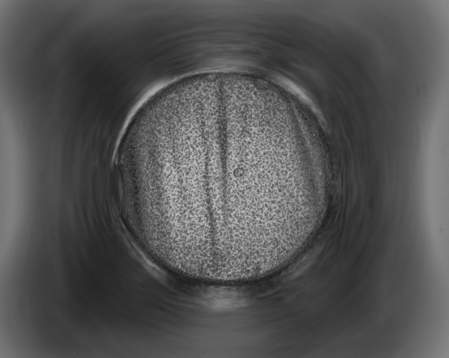 X0000086101275200704132139
