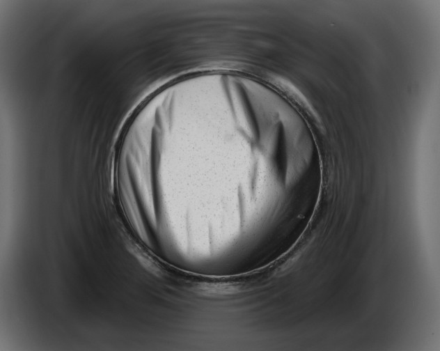 X0000086101276200704132139