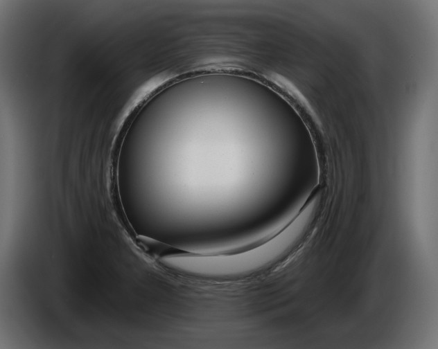 X0000086101277200704132139