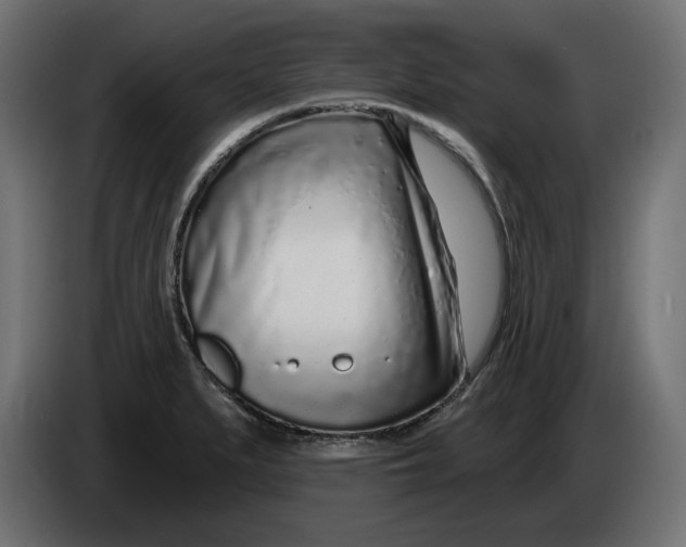 X0000086101279200704132139