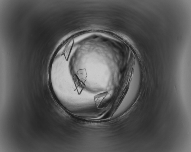 X0000086101280200704132139