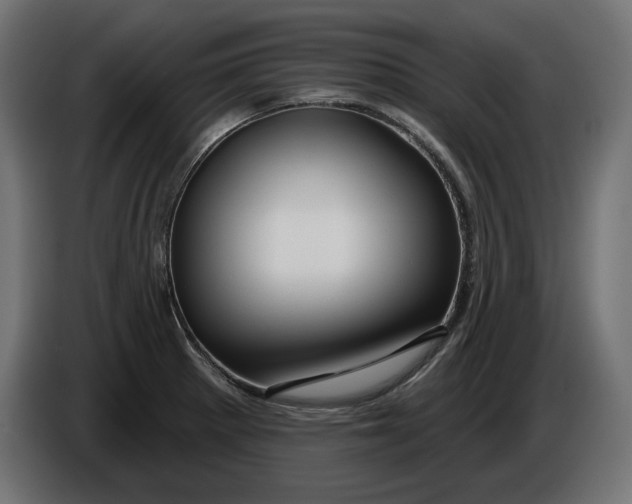 X0000086101281200704132139