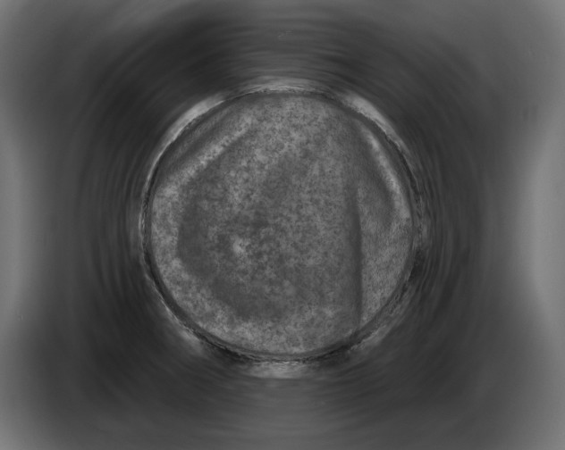 X0000086101282200704132139
