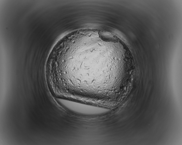 X0000086101283200704132139