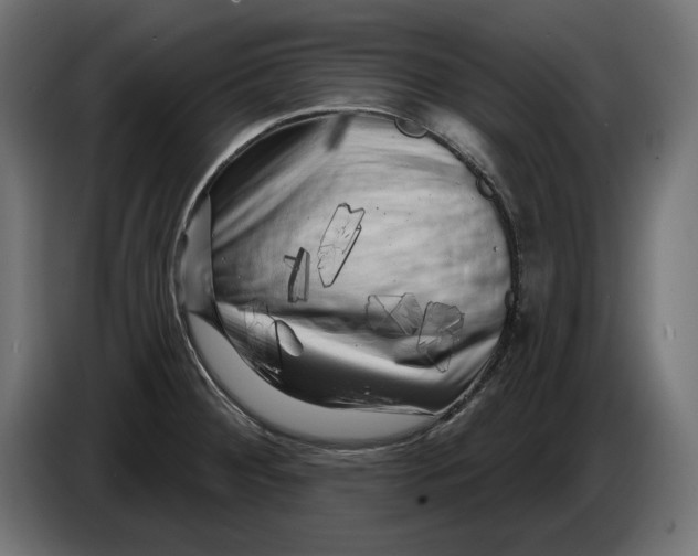 X0000086101284200704132139