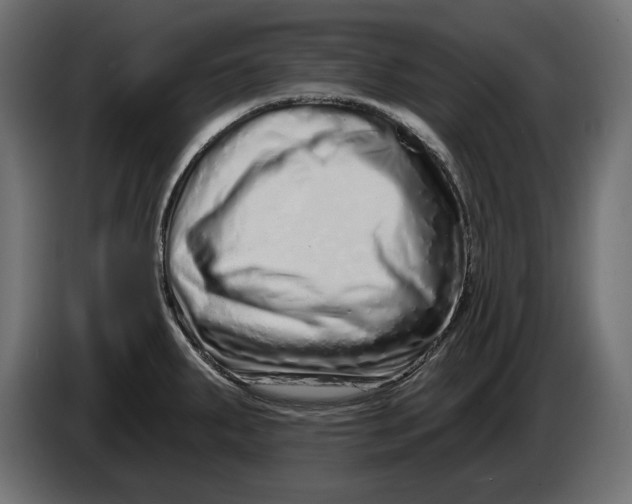 X0000086101287200704132139
