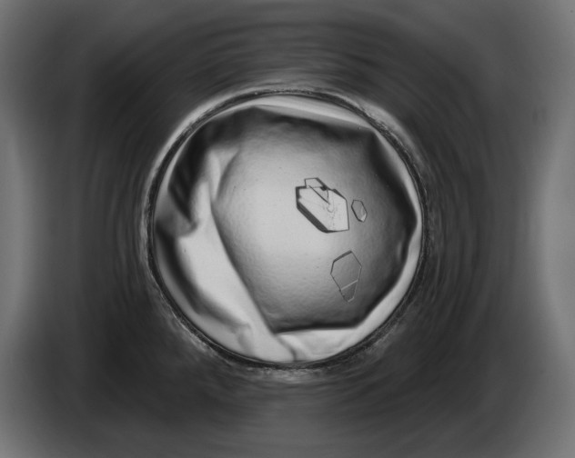 X0000086101288200704132139