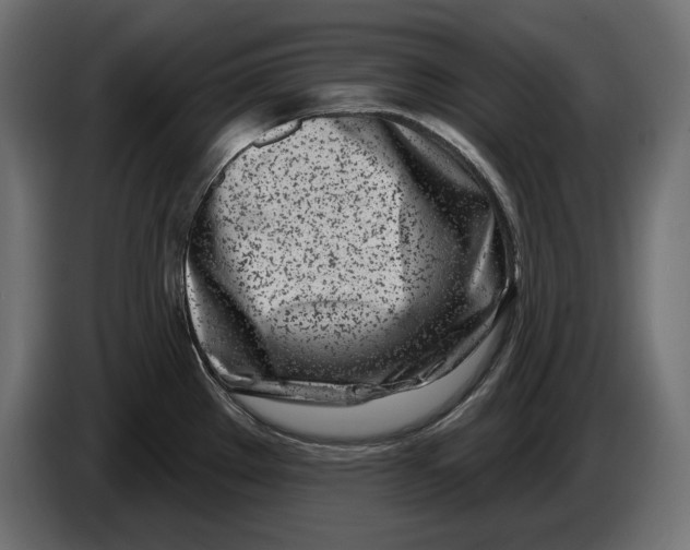 X0000086101289200704132139