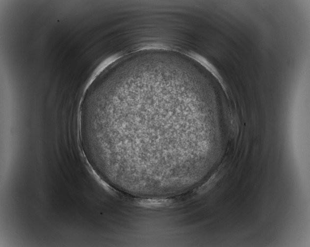 X0000086101290200704132139