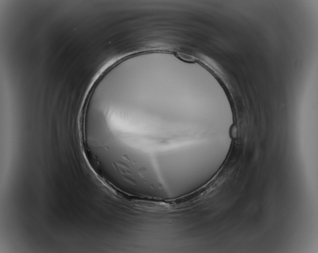 X0000086101291200704132139