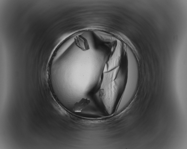 X0000086101292200704132139
