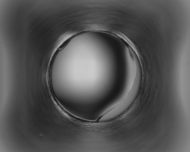 X0000086101293200704132139
