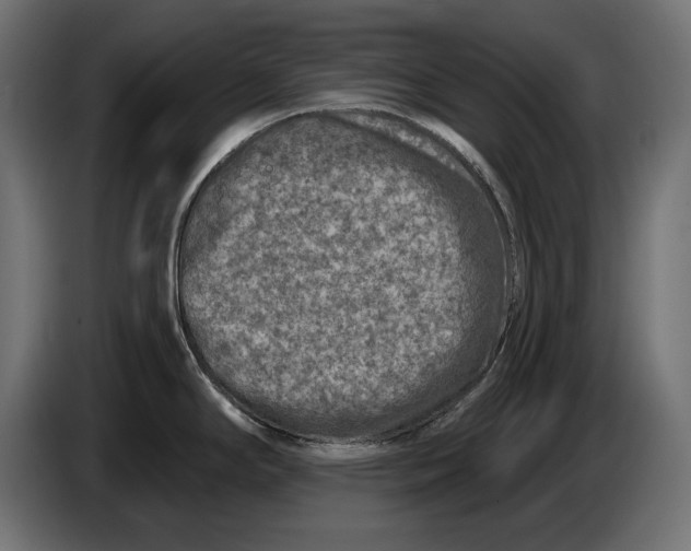 X0000086101294200704132139
