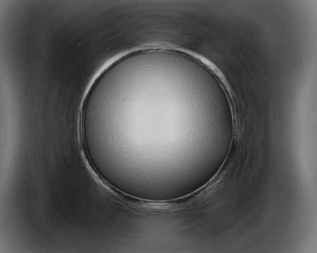 X0000086101295200704132139