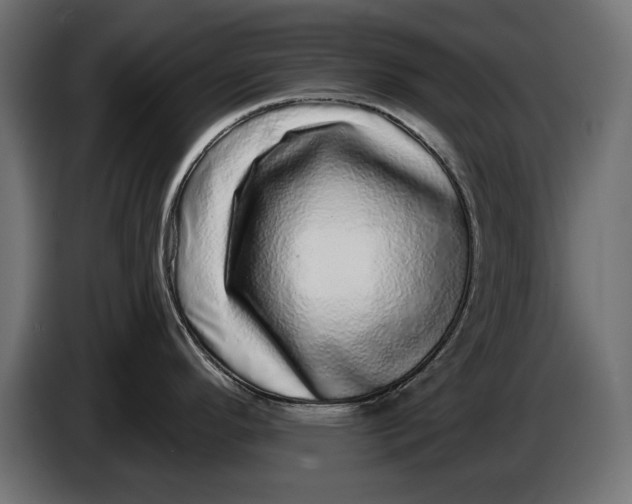 X0000086101296200704132139