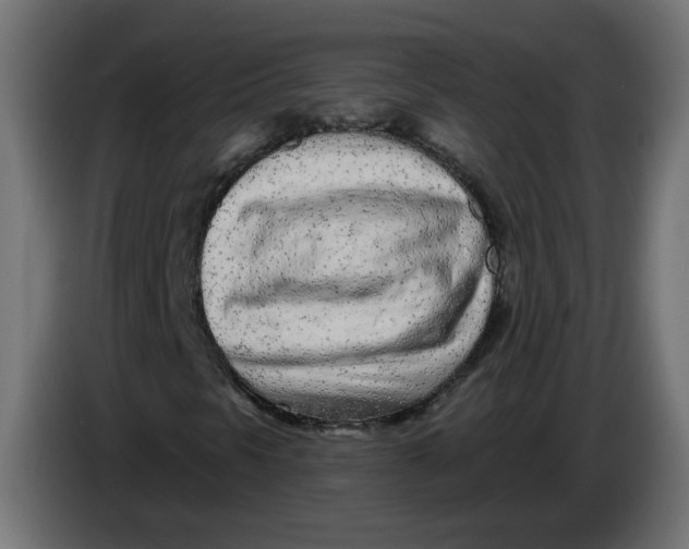 X0000086101297200704132138