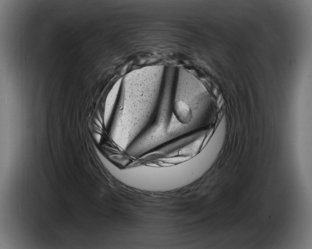 X0000086101298200704132138