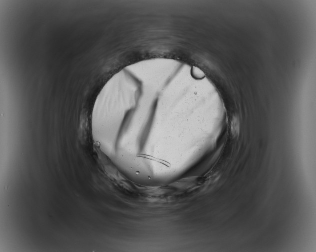 X0000086101299200704132138