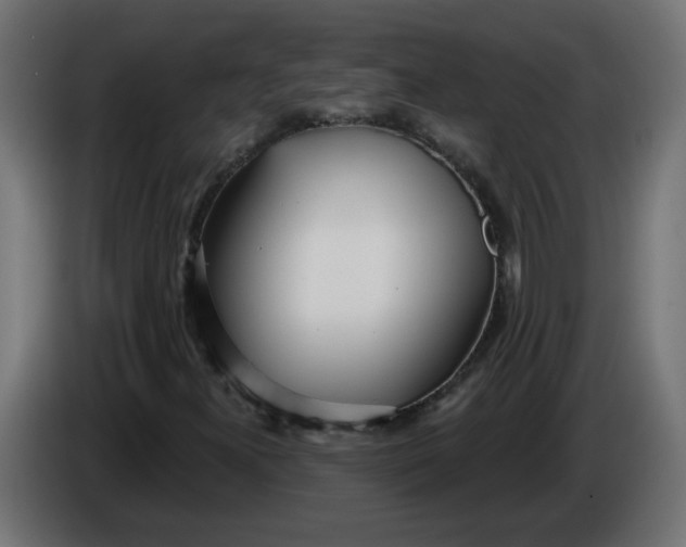 X0000086101300200704132138