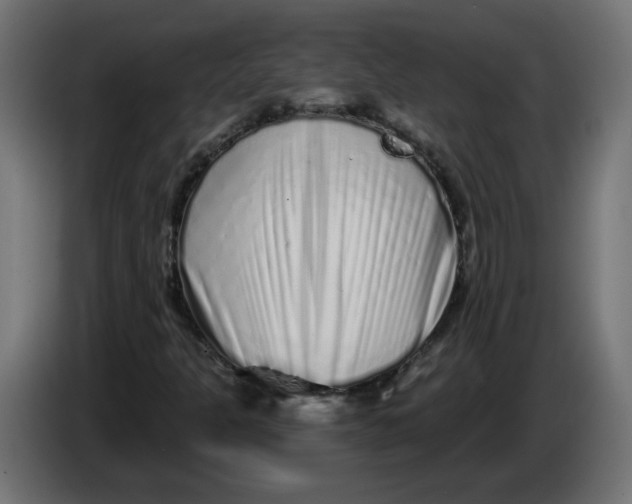 X0000086101301200704132138
