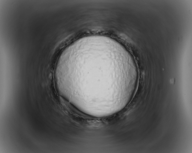 X0000086101302200704132138
