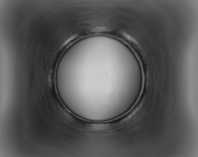 X0000086101305200704132138