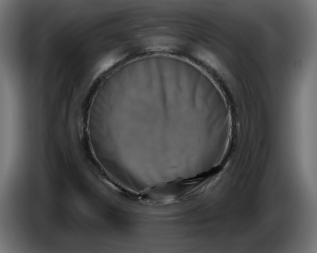 X0000086101306200704132138