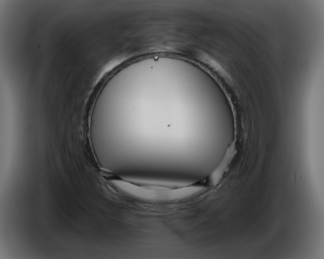X0000086101308200704132138