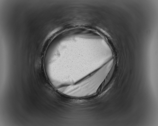 X0000086101309200704132138