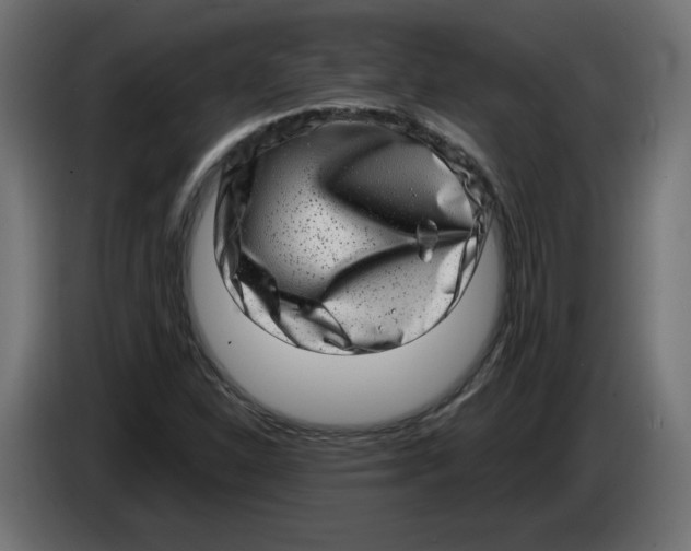 X0000086101310200704132138