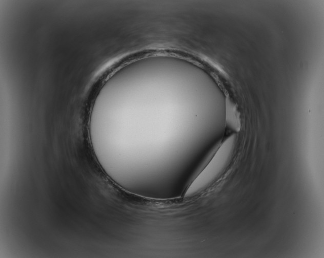 X0000086101311200704132138