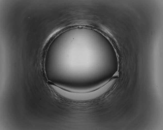 X0000086101312200704132138