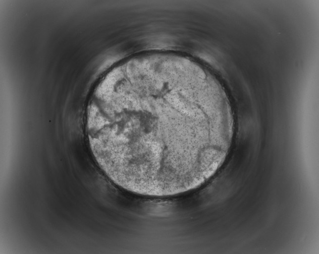 X0000086101314200704132138