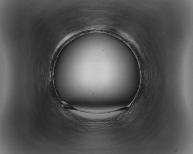 X0000086101316200704132138