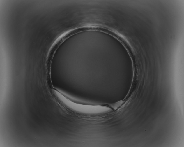 X0000086101319200704132139
