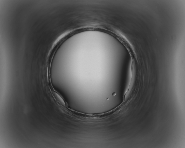 X0000086101320200704132139