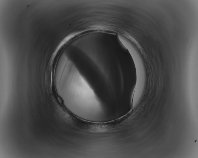 X0000086101323200704132139