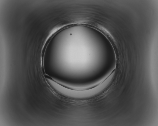 X0000086101324200704132139