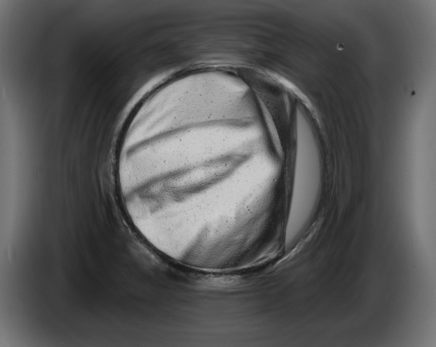 X0000086101325200704132139