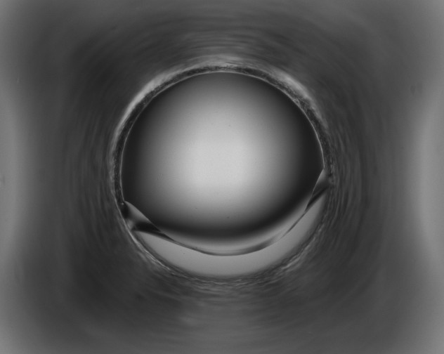 X0000086101326200704132139