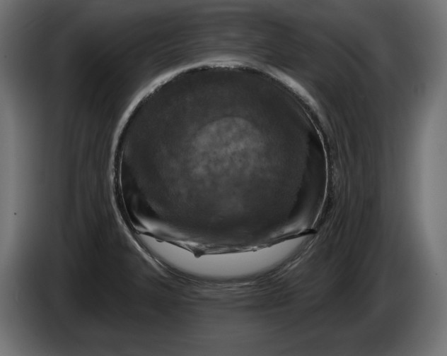 X0000086101327200704132139