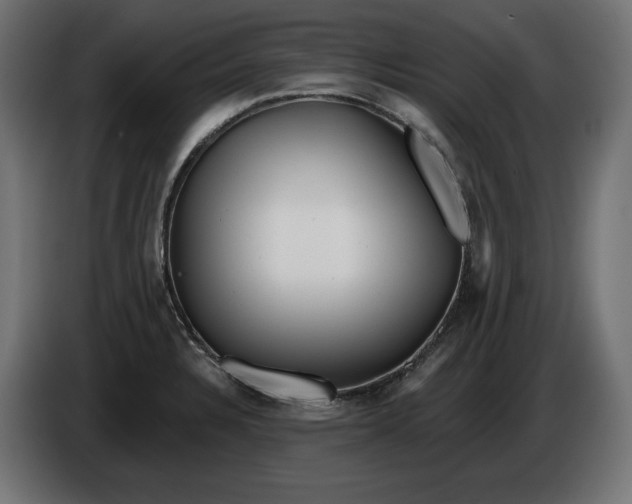 X0000086101328200704132139