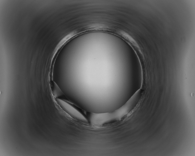X0000086101330200704132139