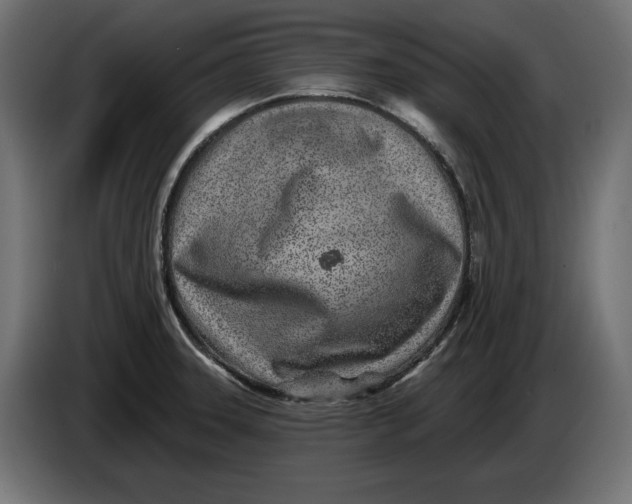 X0000086101331200704132139