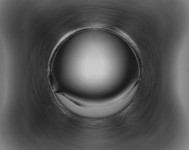 X0000086101332200704132139