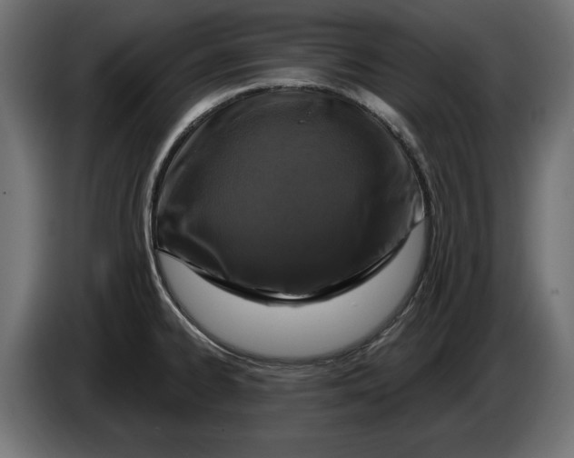 X0000086101334200704132139