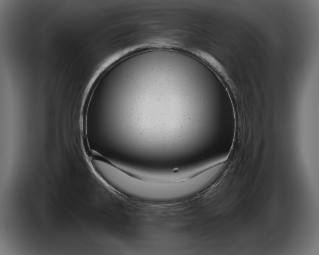 X0000086101335200704132139
