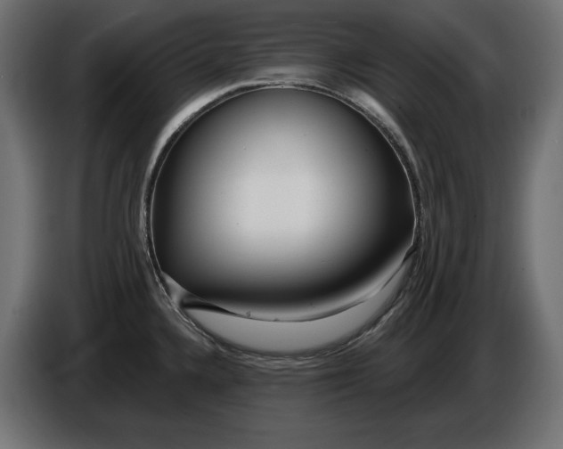 X0000086101336200704132139