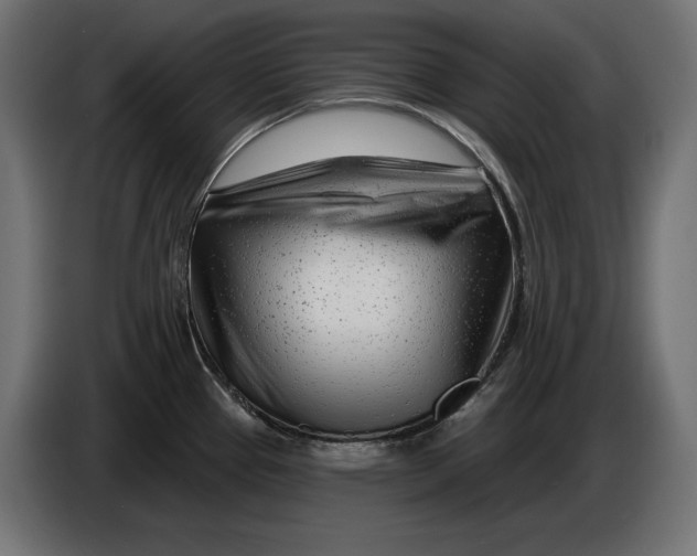 X0000086101337200704132139